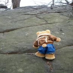 The Bear Went Over The Mountain