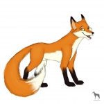 The Fox