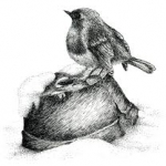 The North Wind Doth Blow